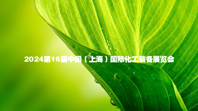 2024第16届中国（上海）国际化工装备展览会