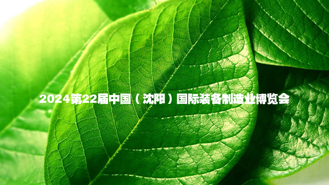 2023第15届中国（上海）国际软件博览会（AIOTE软博会）
