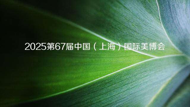 2025第67届中国（上海）国际美博会