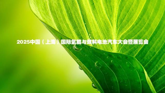 2025中国（上海）国际氢能与燃料电池汽车大会暨展览会