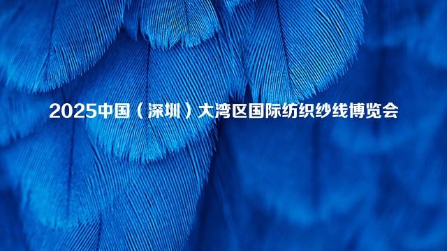 2025中国（深圳）大湾区国际纺织纱线博览会