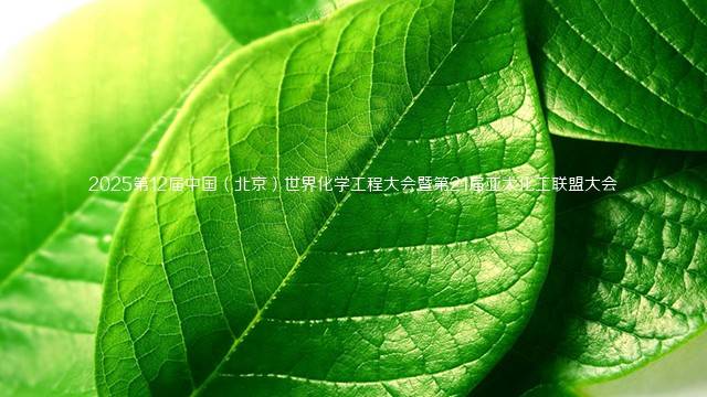 2025第12届中国（北京）世界化学工程大会暨第21届亚太化工联盟大会