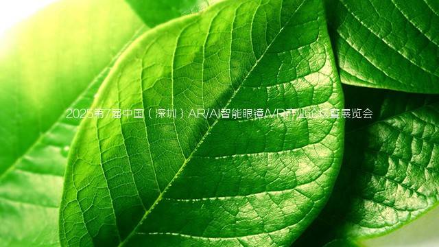 2025第7届中国（深圳）AR/AI智能眼镜/VR产业论坛暨展览会