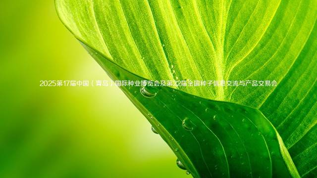 2025第17届中国（青岛）国际种业博览会及第22届全国种子信息交流与产品交易会