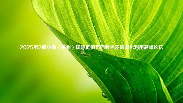 2025第2届中国（杭州）国际低值可回收物及资源化利用高峰论坛