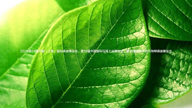 2026第24届中国（上海）国际铸造博览会、第19届中国国际压铸工业展览会、第19届国际有色及特种铸造展览会