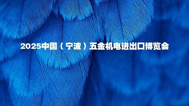2025中国（宁波）五金机电进出口博览会