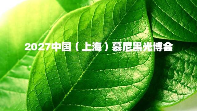 2027中国（上海）慕尼黑光博会