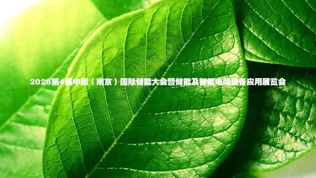 2026第4届中国（南京）国际储能大会暨储能及智能电网设备应用展览会